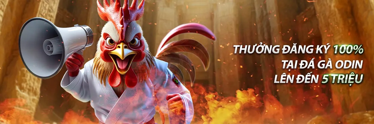 Hình ảnh nền lớn thể hiện sự bảo mật dữ liệu và an toàn thông tin cá nhân của EE88